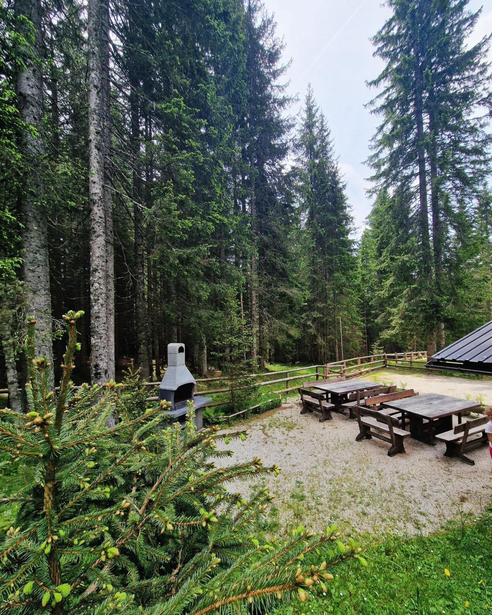 Forest Apartments Pokljuka Zgornje Gorje Exterior foto