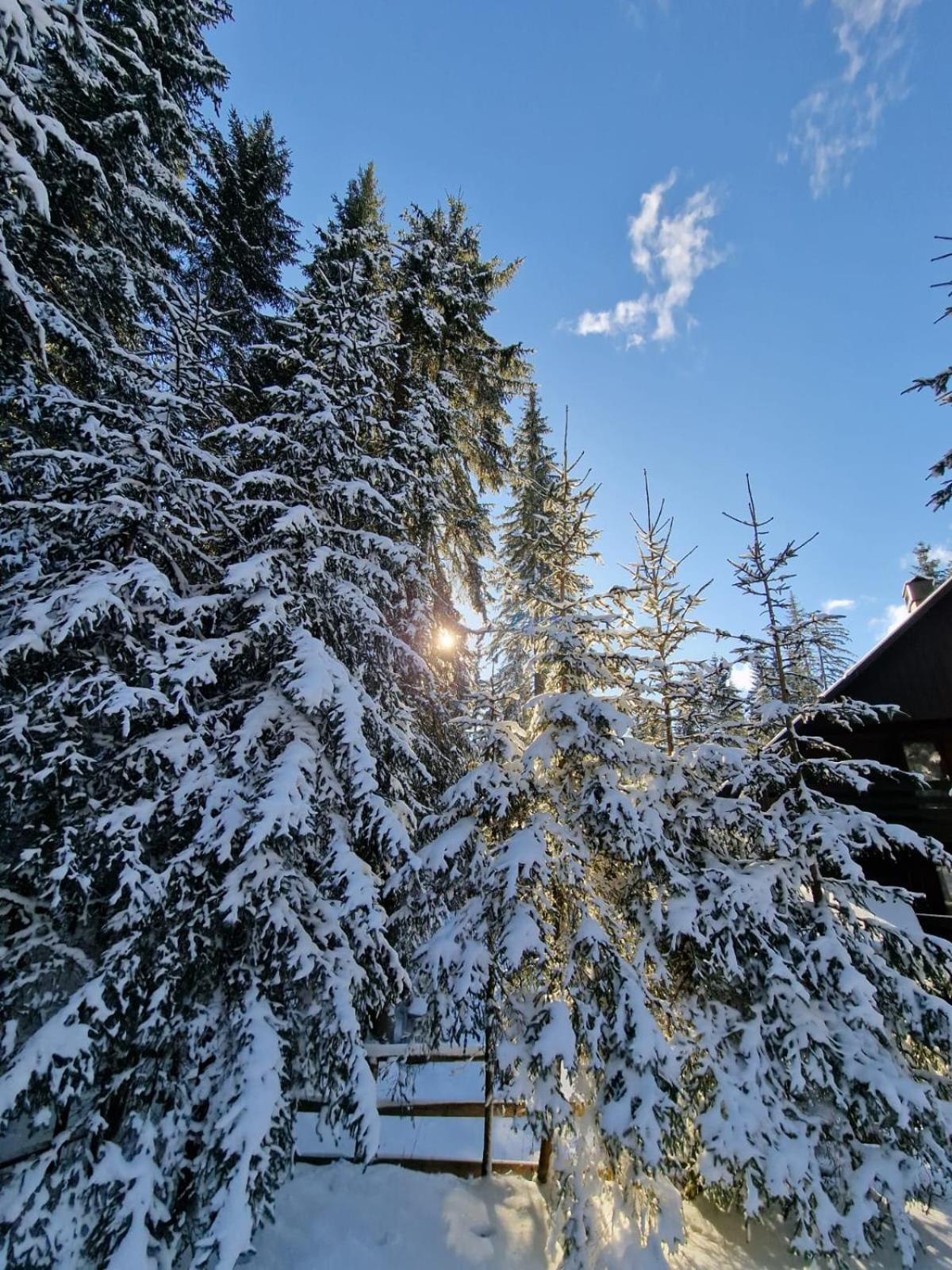 Forest Apartments Pokljuka Zgornje Gorje Exterior foto