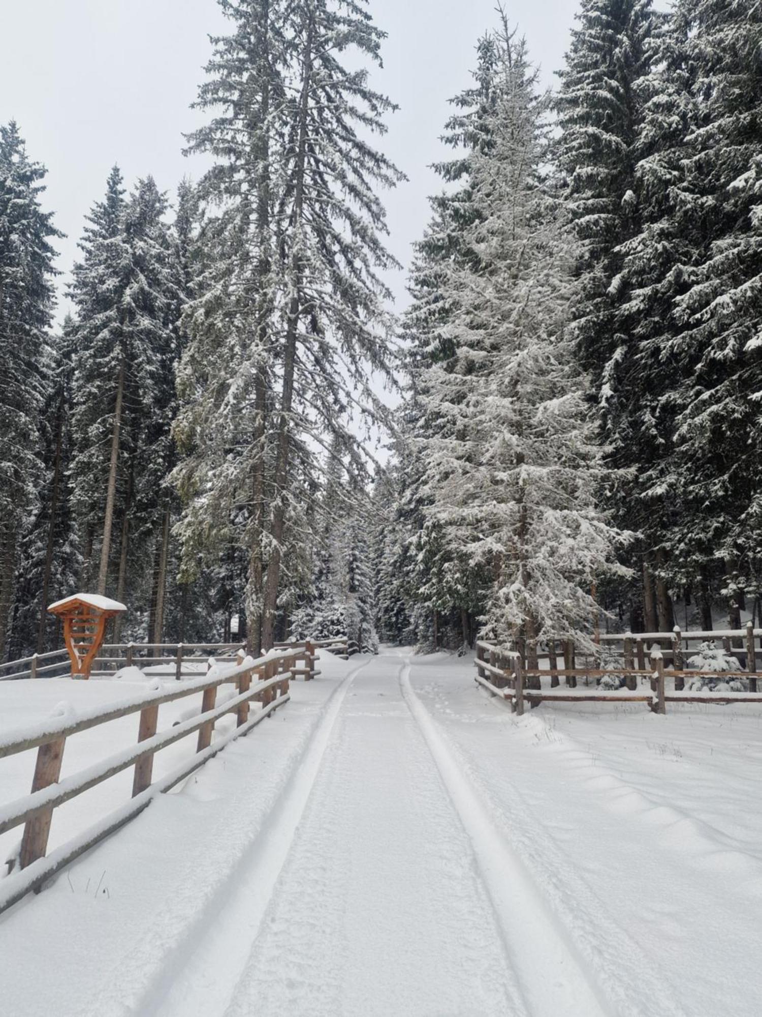 Forest Apartments Pokljuka Zgornje Gorje Exterior foto