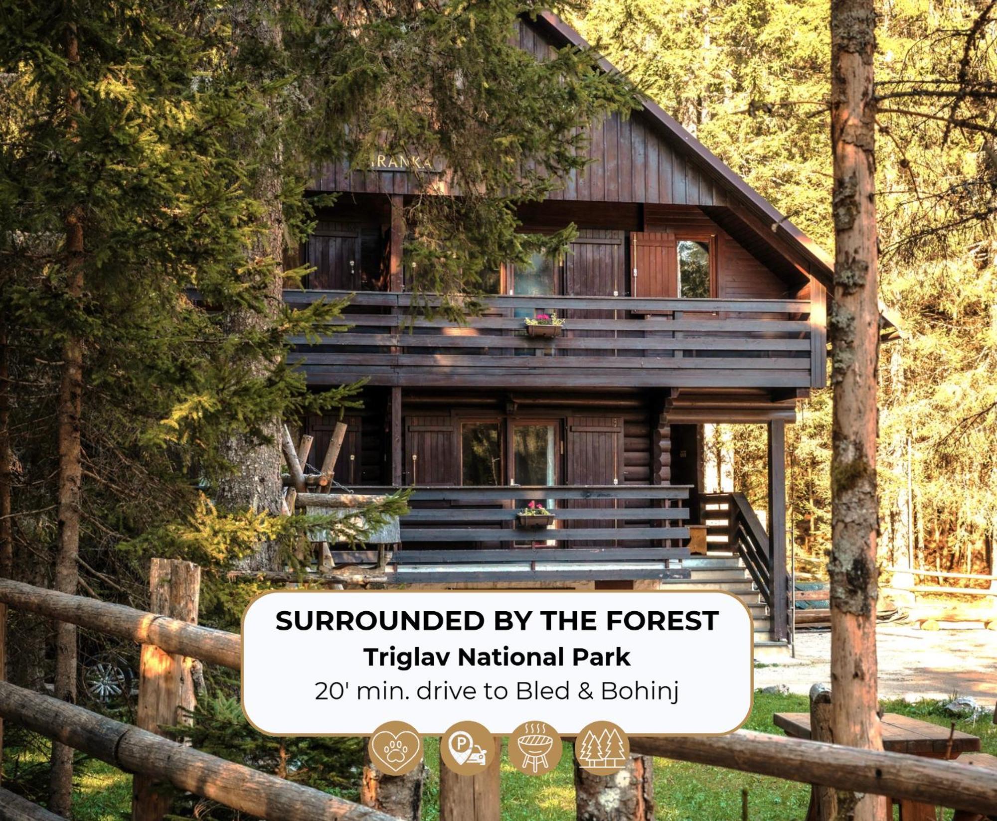 Forest Apartments Pokljuka Zgornje Gorje Exterior foto